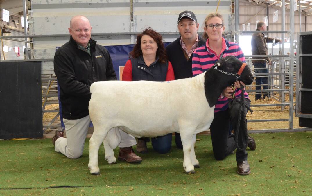 The $11,500 top-priced Dell stud ram with Landmark stud stock's John Settree, Dubbo, buyers Tanya and Brad Edson, Red Rock stud, Keith, SA; and vendor Andrea van Niekerk, Dell stud, Moama, who soldr rams averaging $5625.