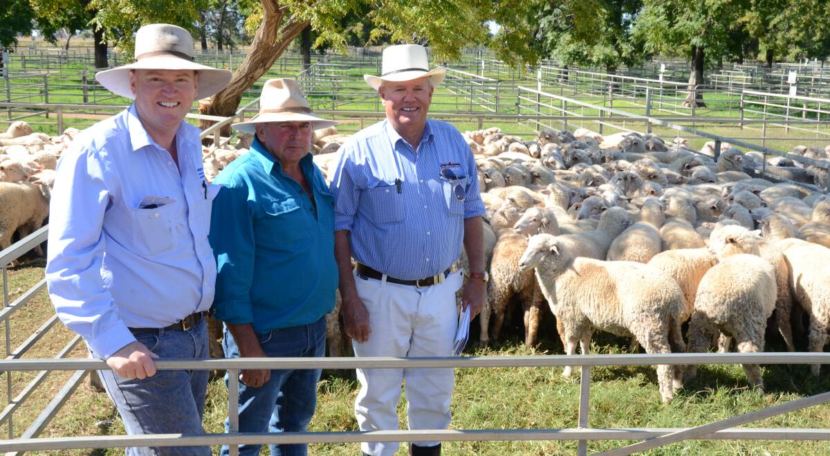 Cunnamulla bred mixed sex store lambs, 180 White Suffolk/Merino cross August/September 2016 drop unshorn topped at $126 a head. Pictured is Bill Gibbs, Hartin Schute Bell, Narromine; vendor Alan Dick, Heywood Station, Cunnamulla, Qld; buyer, Bruce Bryant, Peter Milling and Company, Wellington.