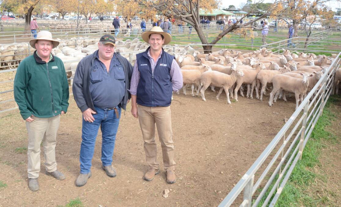 Landmark Wilson Russ auctioneer Marcus Bruce, Narromine with buyer Ray Townsend, "Glenavy", Eugowra, and his agent, Hugh Dobell, McCarron Cullinane Chudleigh, Forbes.,. the $200 top-priced pen.
