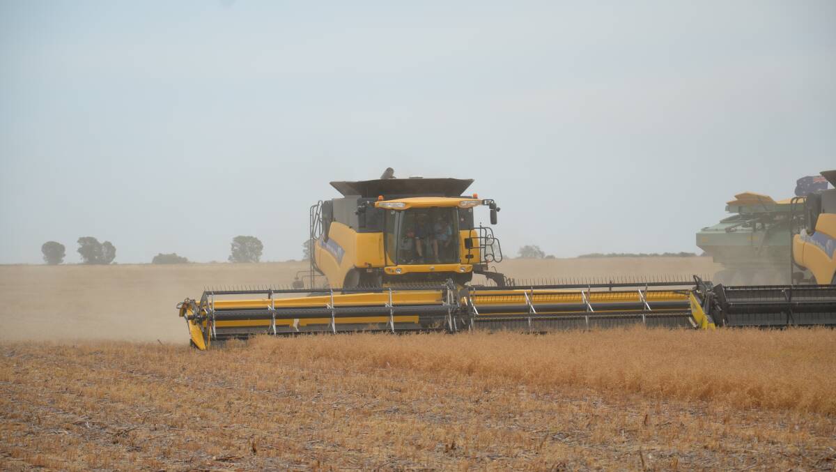 Chickpea prices steady, but demand strong
