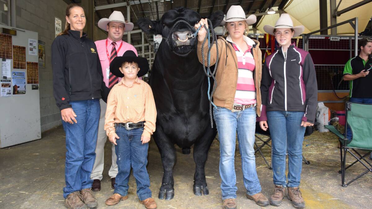 Josh Crosby, Elders stud stock, with Bronwyn, Josh, Sophie and Casey Halliday, J and C Angus, Wildes Meadow, with record-setting bull J and C Kingpin.