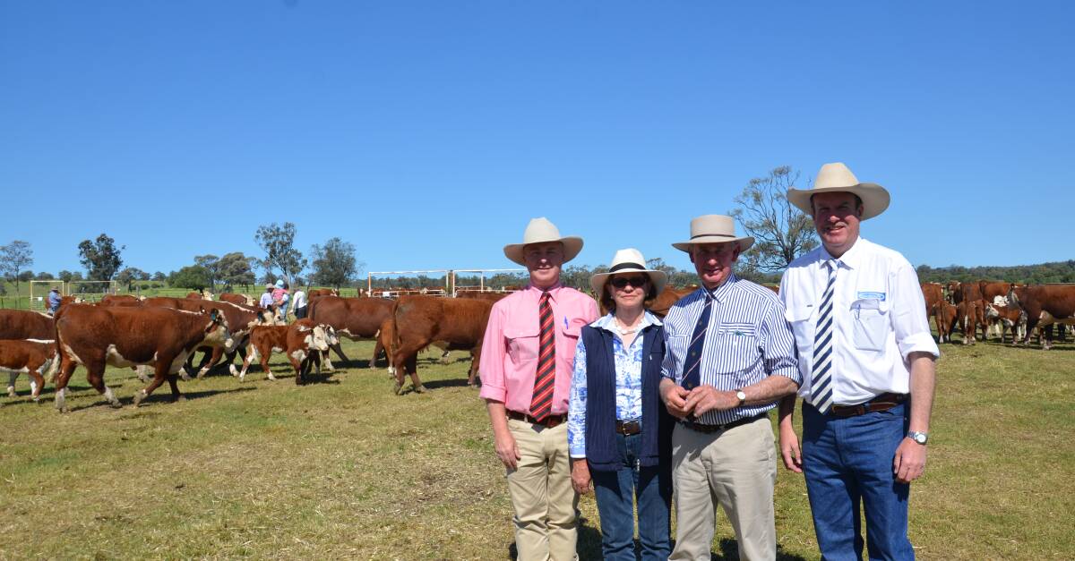 Elders stud stock agent Andrew Meara, with Jann and Roger Hann and auctioneer Paul Dooley, with some of the cows and calves sold at Courallie. 