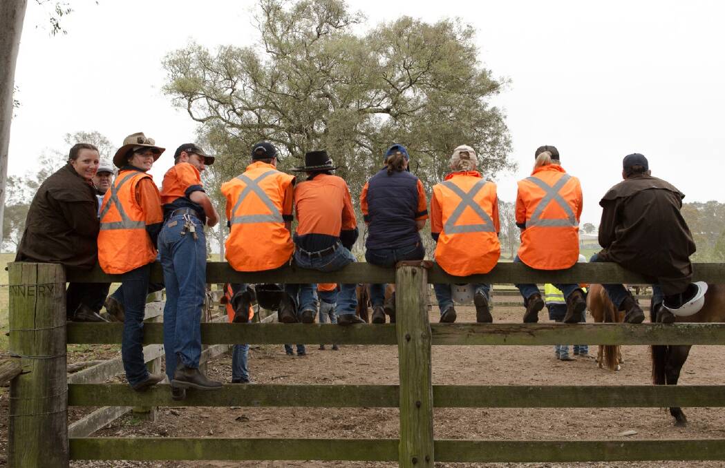 A group of Tocal College students sit around a pen while learning about cattle.