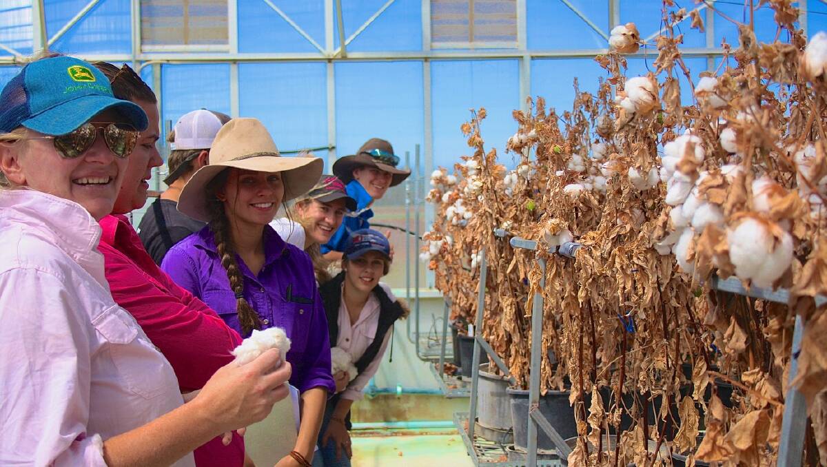 Learning about cotton is just one of the subjects students complete at Tocal College. 
