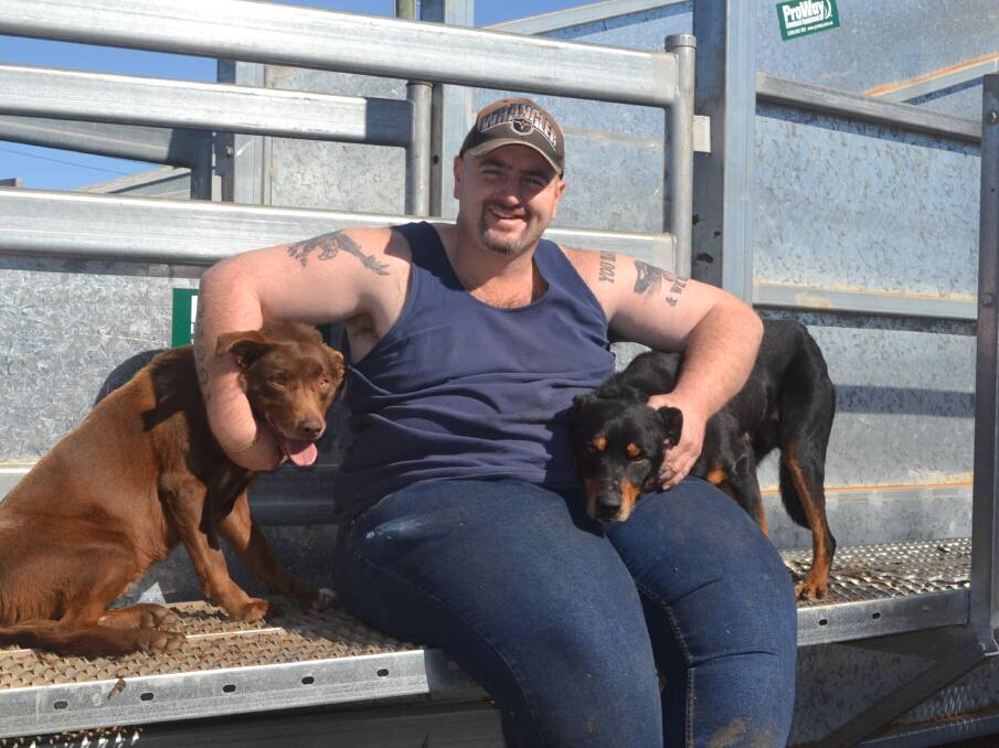 Uranquinti livestock transporter Chris Moore with his dogs Coop and Banjo at the Dubbo Regional Livestock Markets.