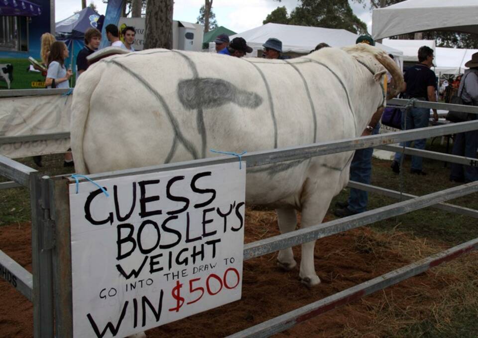 HEAVY: Bosley has raised more than $20,000 for the student scholarship fund at the Tocal Field Days.