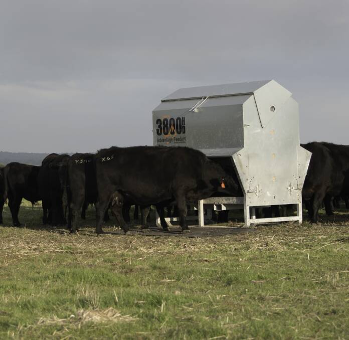 Advantage Feeders help maximise pasture usage and stocking rates while pasture is lacking.