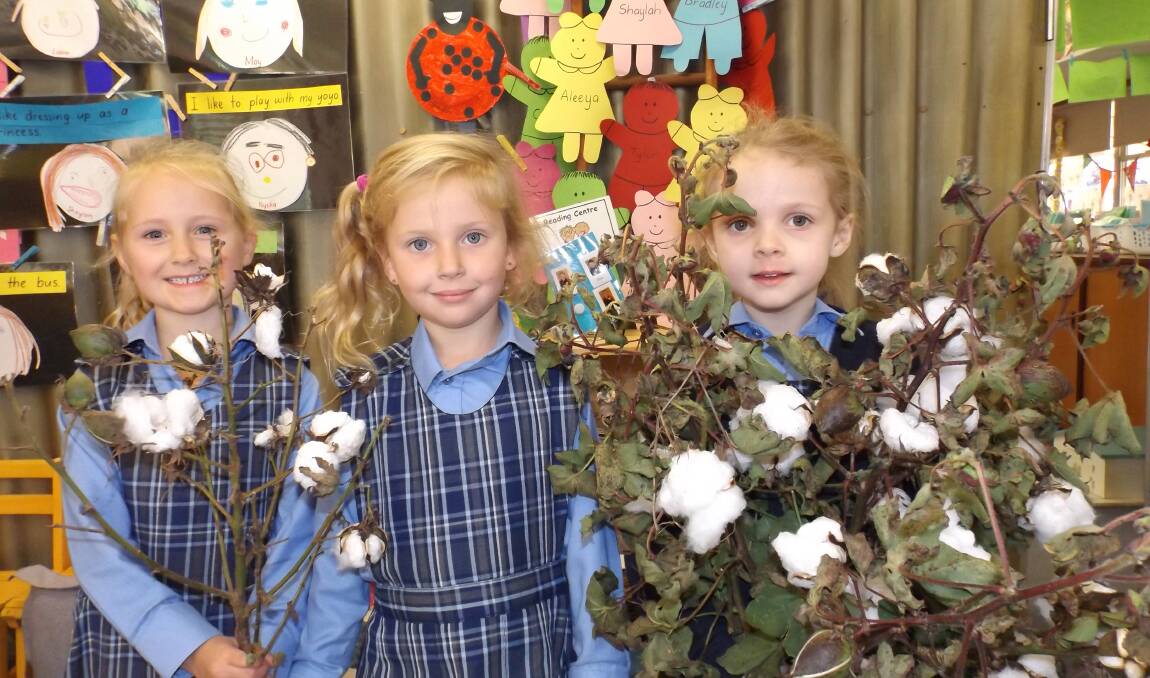 Enjoying the cotton demonstration by Katrina Swift are Parkes Public School students Katie Forbes, Aleeya Ehsman and Peggy Swift.