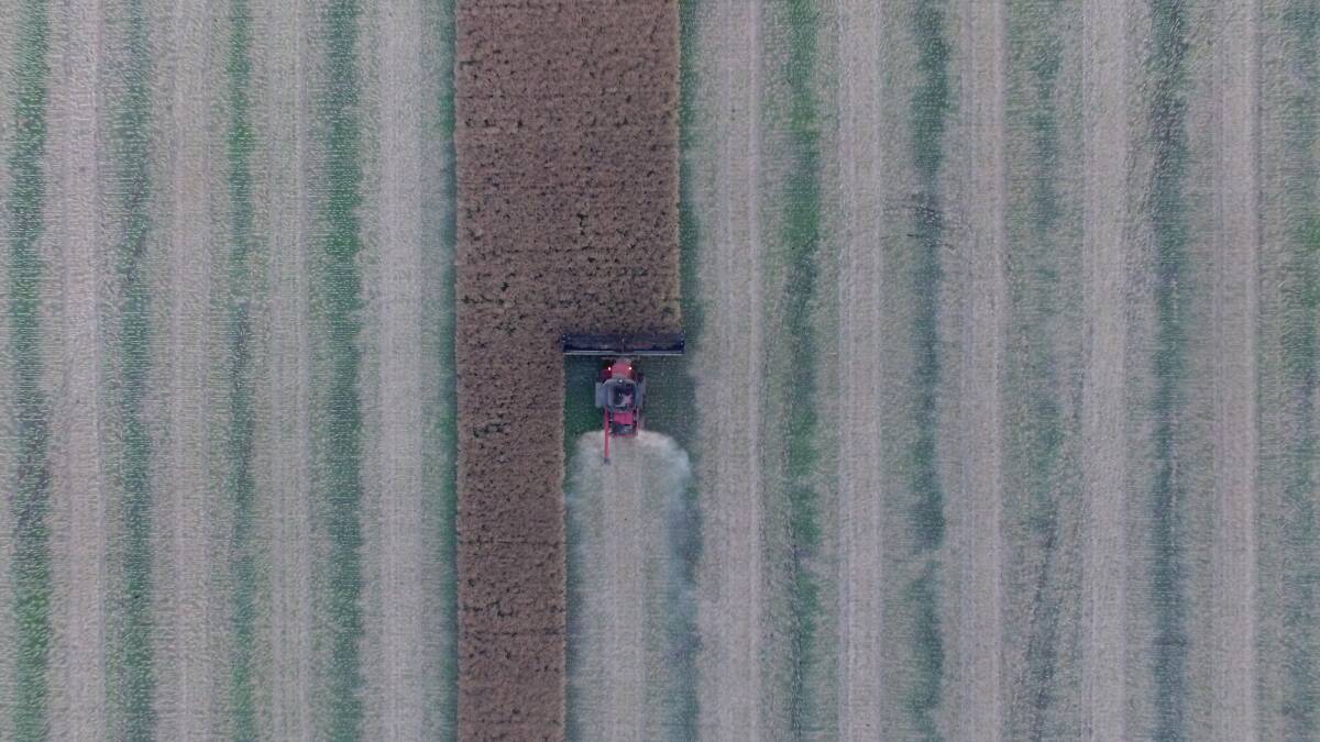 CAPTURED: Toby Field has taken some very good photos on his drone like this one of wind-rowing canola.