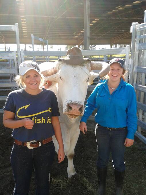 SUN SMART: Bosley in a hat with two Tocal College students in 2014.