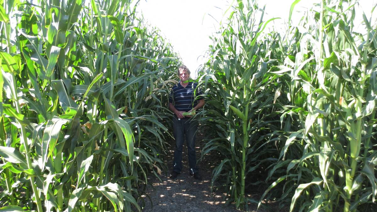Irrigated Cropping Council researcher Damian Jones believes a new decision-support tool will help growers weigh up the pros and cons of double cropping.