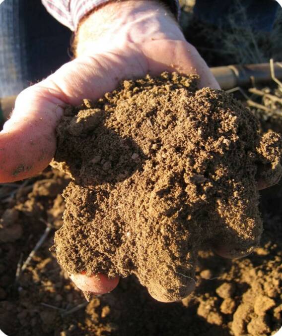 A sample of some soil after the use of YLAD Living Soils' Lime Plus. YLAD Living Soils has been promoting biological farming for more than 10 years.