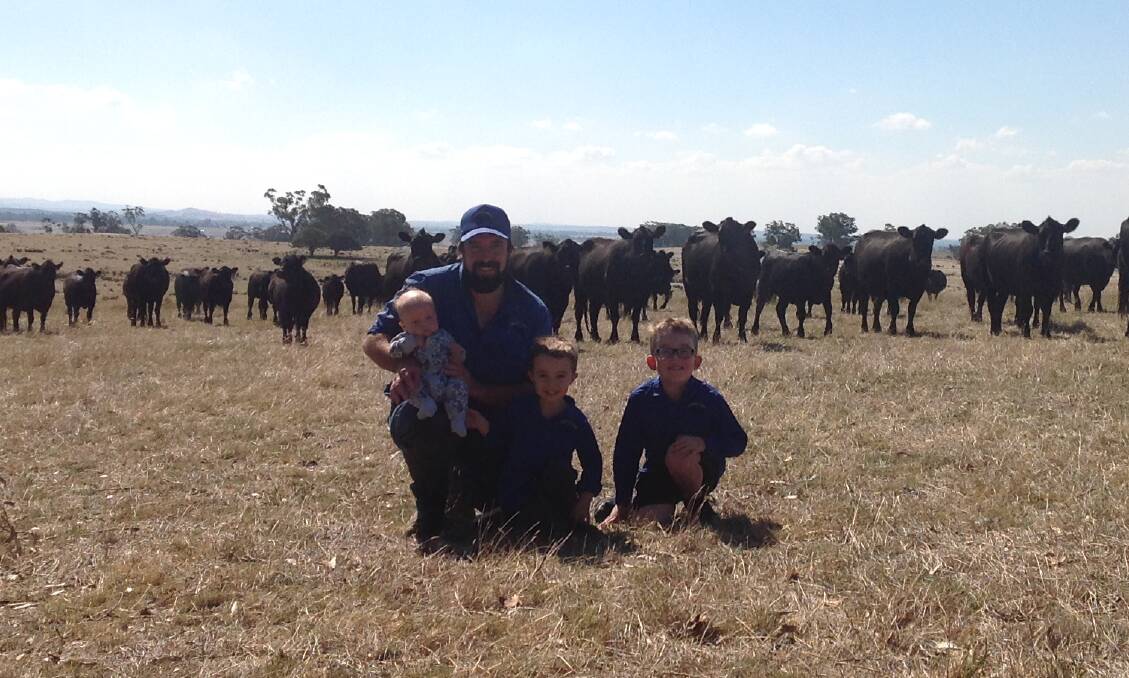 Matt, Jasper, Charlie and Riley Shea, "Barfold Beef", Barfold, Victoria, with some of their Te Mania blood cattle. Barfold Beef entered two pens of steers in this year's competition finishing sixth and ninth. 