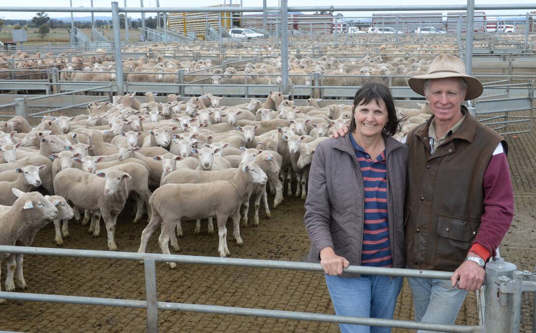 Sharon and Ray Bowen, "Lynwood", Yeoval, with a pen of eight-month-old, second-cross lambs they sold at the Forbes sheep sale in August. Dry conditions may force the Bowens to sell remaining lambs on early as feed runs low. 