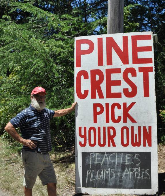 John Galbraith's Pine Crest was one of the first ochards in the Bilpin area to adopt the 'Pick Your Own' method about 15 years ago. 