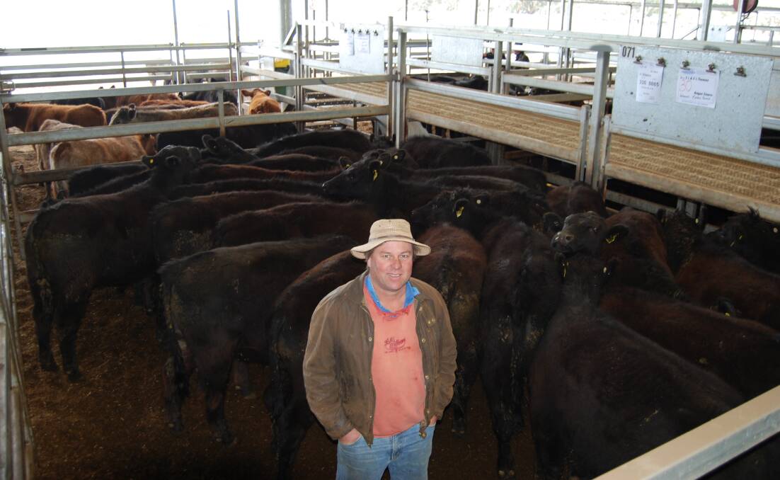 Scott Thomas, 'Wangilla', Manildra, sold 30 July-Aug drop Angus steers, 330 kgs, to Noonee Bulls, for $1080 at the Carcoar store sale for August. 