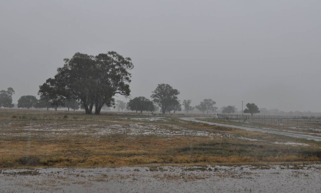 The weather event was not as extreme as forecasters expected, with many farmers grateful for the much-needed rainfall. 