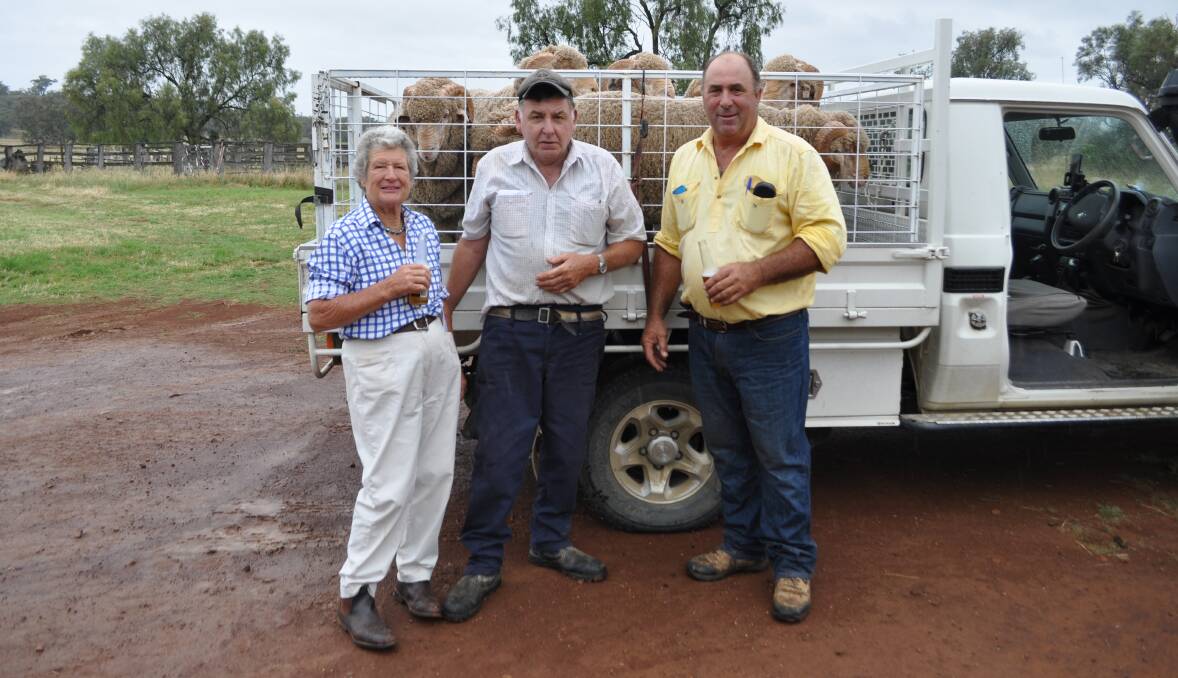 Stud principals Enid and Peter Capel with long term buyer Brian Brazier, "Wombang," Euchareena, taking home the seven rams he purchased at the on-property sale.