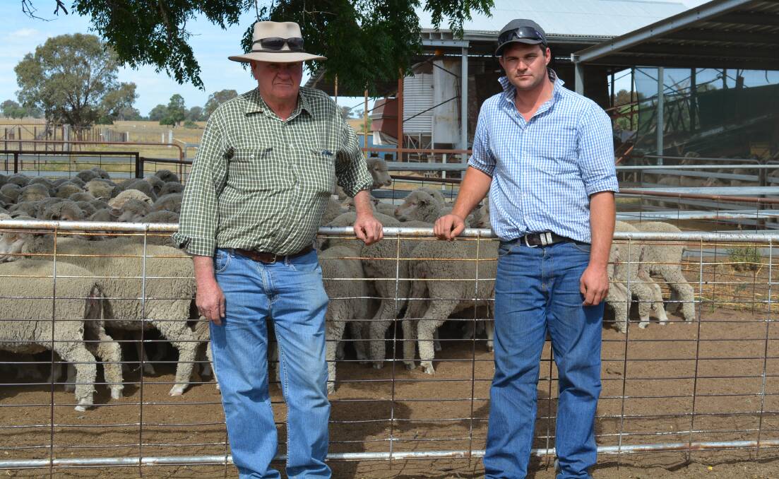 John and Jack Webb, Cooyal Pastoral Company, Cooyal, winners of this year's Chris Naake Memorial Flock Ewe competition.    