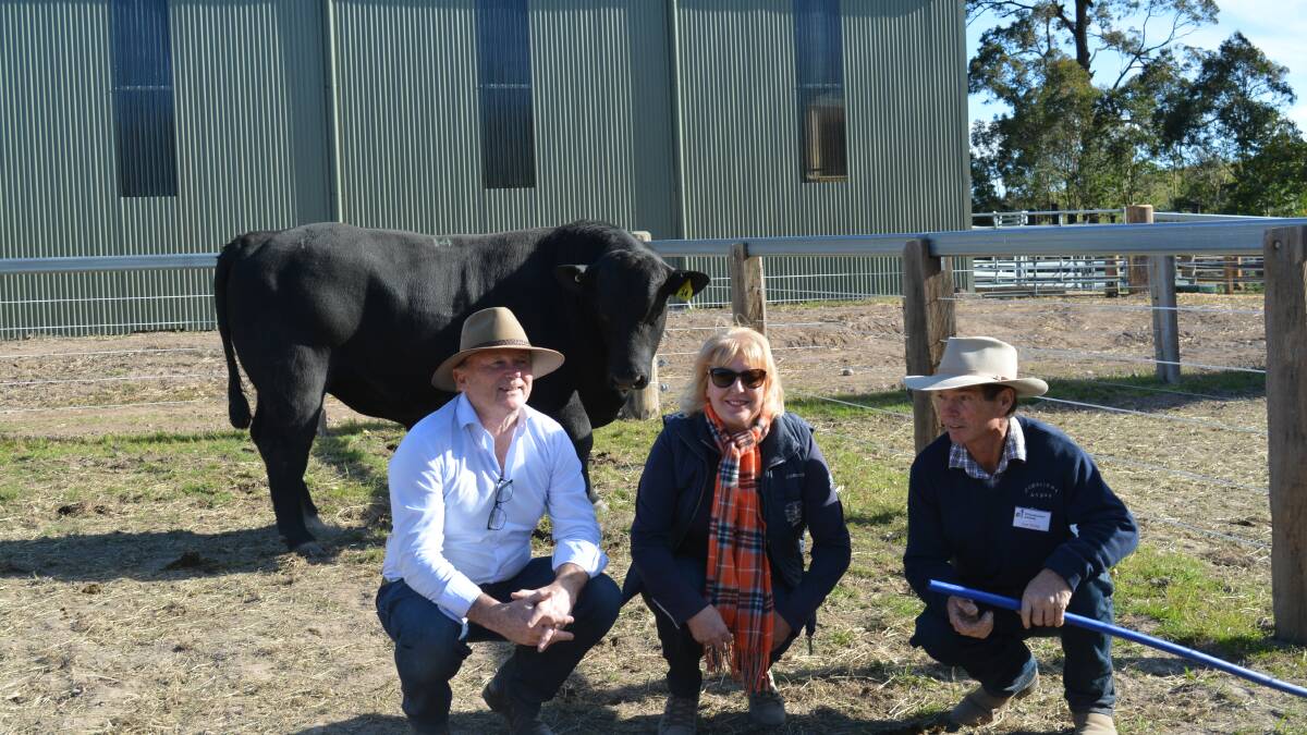 John and Pam Farragher, Seaham, buyers of the the top-priced Angus bull, Sugarloaf Reality L154, at the Sugarloaf Angus sale last Saturday with stud principal, Jim Tickle.  