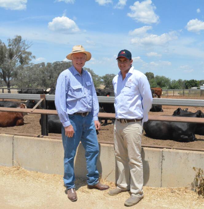 Peter Taylor and Kieran te Velde from Bob Jamieson Agencies at the Nullamanna feedlot near Inverell which has been expanded to supply cattle to NH Foods Australia for export into the premium EU grainfed market.  
