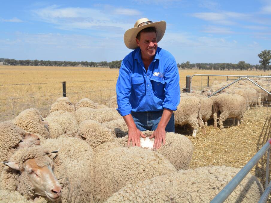 Convenor of the Peter Westblade Merino Challenge, Craig Wilson, says results show you don't have to run broad sheep to cut plenty of wool. Only four teams cut more clean wool than the overall fleece winner's 15.7 micron team.    