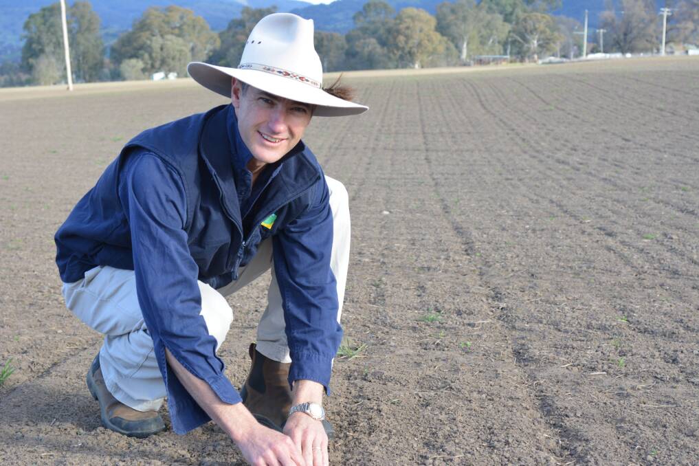 HOLD YOUR HORSES: Tumut agronomist, Nathan Ferguson, says producers should think carefully to achieve the best results when rejuvenating pastures following the recent drought and bushfires. 