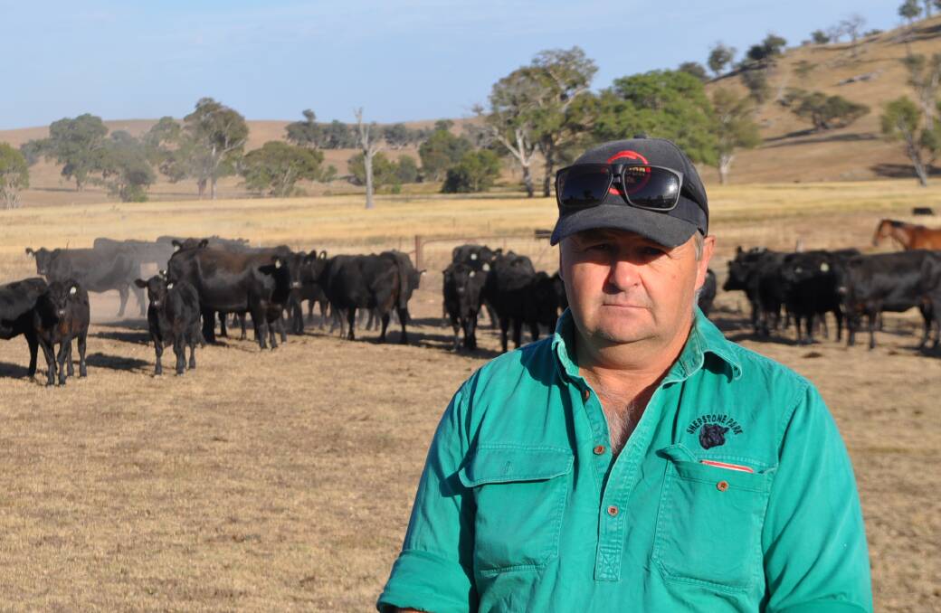 Claydon Butt, manager of "Shepstone Park", Bookham, has played a key role in driving the quality of the property's Angus and Wagyu breeding programs.  