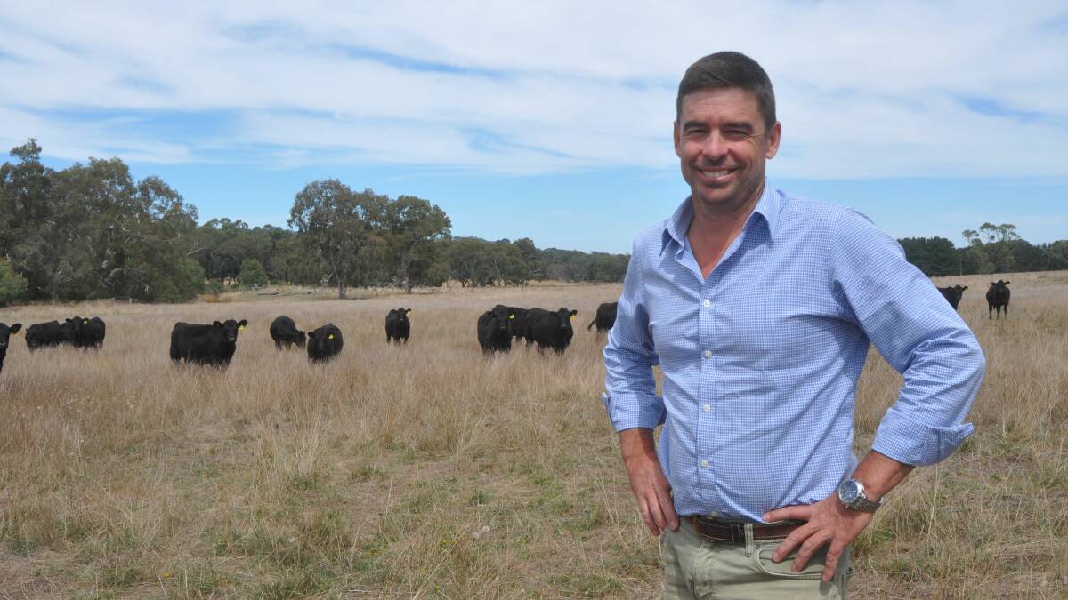 NEW VENTURE: Southern Graziers' Sam Pentelow at Pages Flat, SA - one of three properties where he has entered a profit share arrangement.