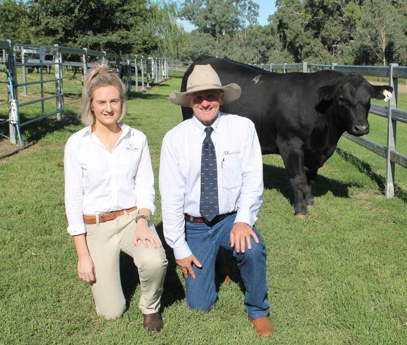 Harriet Forster and Jim Wedge with the $13,000 top-priced Angus bull, Ascot Linesman L651.