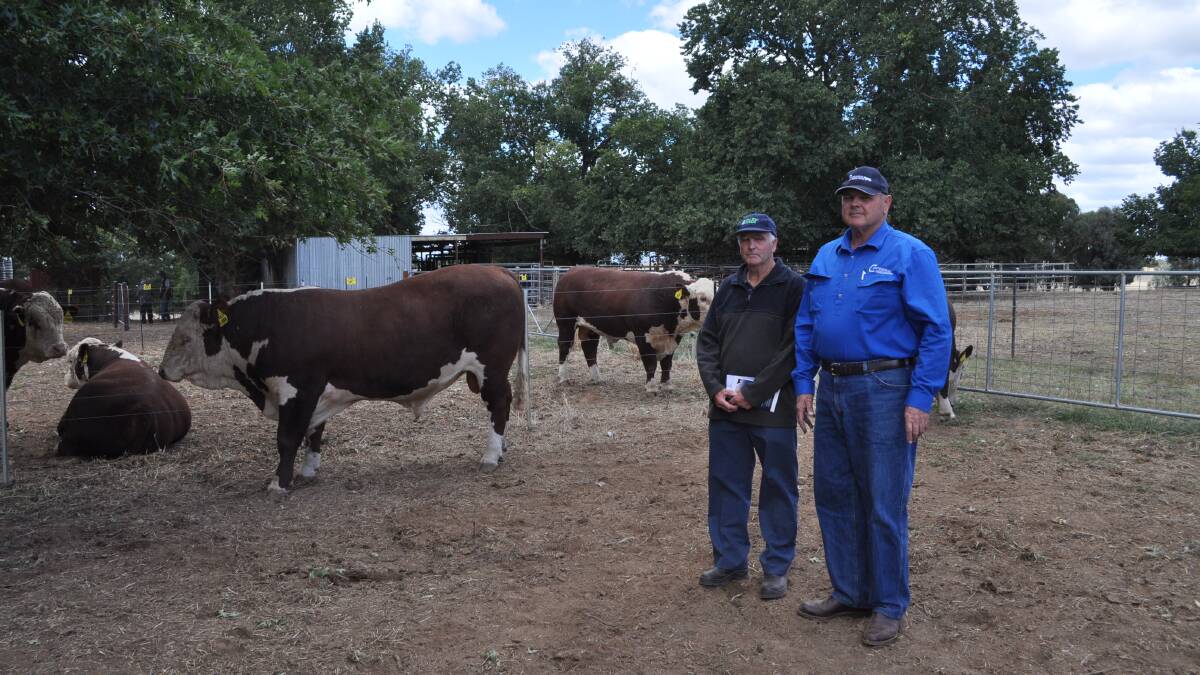 Puchaser of top-price bull Geoff Johnston, Walpa, Victoria, with Centennial Herefords principal Paul Rogers.