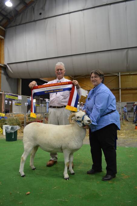 Catherine Boyd, Highshire stud, holds the grand champion Wiltshire Horn ewe with Gavin Wall, Vic, sashing. 