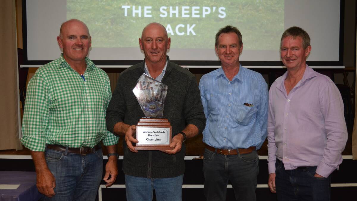 Angus Beveridge, President NSW Stud Merino Breeders Association, Bill Hurley," Killanear", Boorowa, and Andrew and Patrick Davis, Demondrille stud, Harden. Mr Hurley won the Southern Tablelands championship for the second time with his Demondrille-blood line of maiden Merino ewes. 
