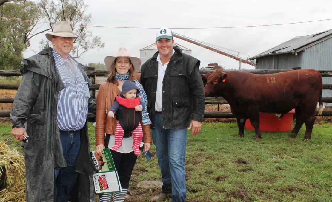 Buyers, Sandy Munro and Jen Jeffreys and son James, Weebollabolla Shorthorns, Moree, and Spencer Morgan, Myall Grove, Condamine, QLD, with the $58,000 record –priced The Grove KO182 (P).
