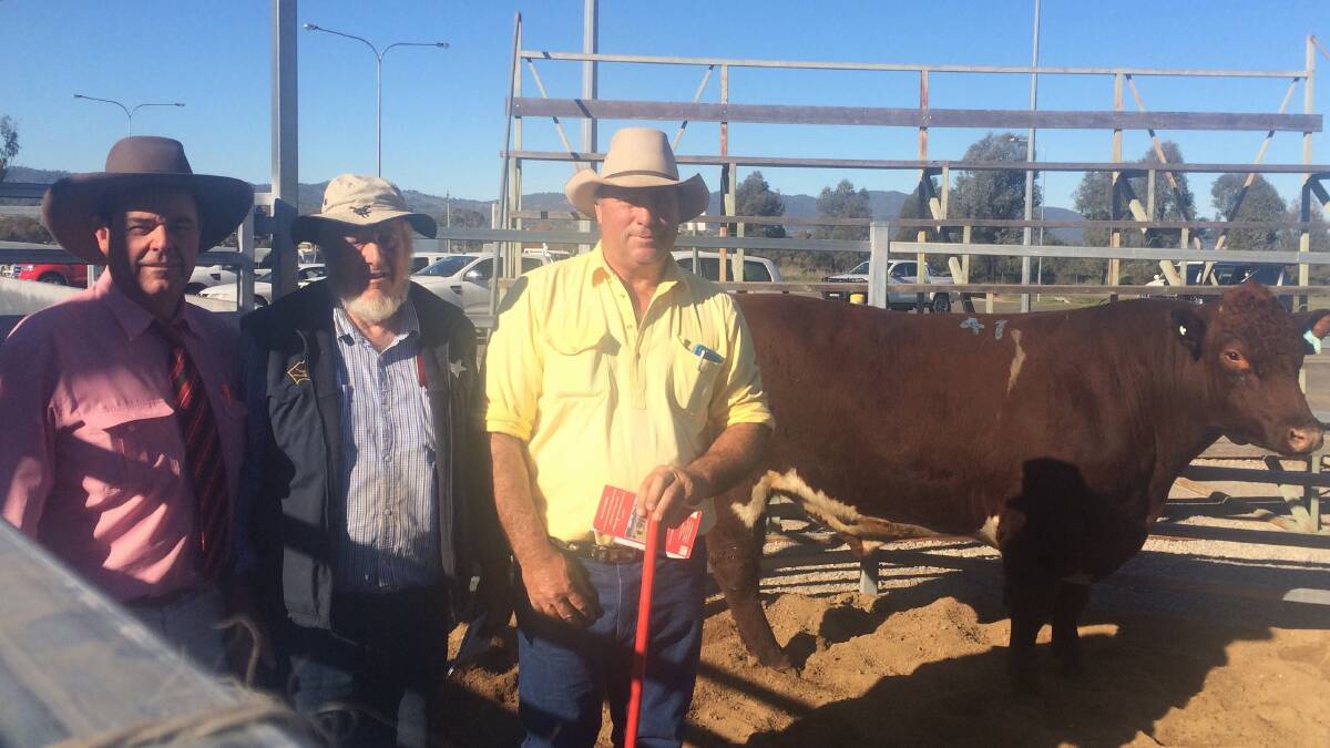 Agent Brian Kennedy, Elders stud stock, Lester Job, Moombi Shorthorns, Cumnock, Peter Capel, Bungulla Shorthorns, Manilla, with one of the $12,000 bulls sold at the 2016 sale. 