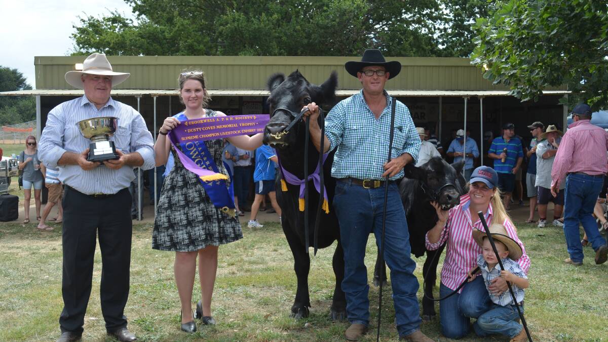 Winners of the Kevin Coves Memorial trophy, exhibited by Scott Myers and Sam Beresford, Myers Limousins, Moss Vale with four-year-old 'Lady Luck' with her thrid calf at foot, 'My Fair Lady'. 
