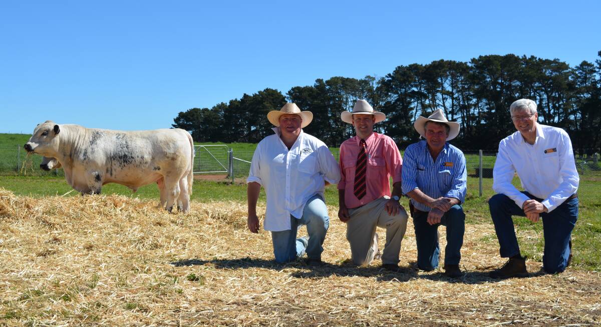 Dale Humphries, Wattle Grove Speckle Park stud, Oberon, Josh Crosby Elders stud stock Dubbo and buyers of the $30,000 record breaking top-price Speckle Park bull, Dennis Power and David Reid, Minnamurra Pastoral Company, Coolah. 