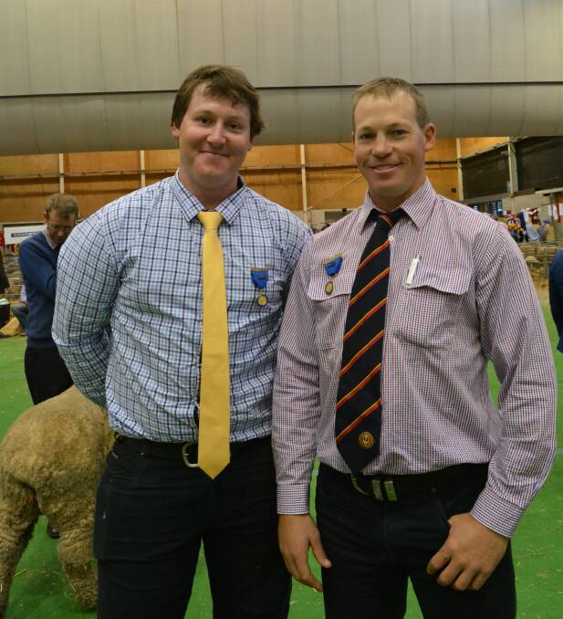 Brothers John and Tim Dalla from South Australia judged together for the first time on the Merino mats at the Sydney Royal. 