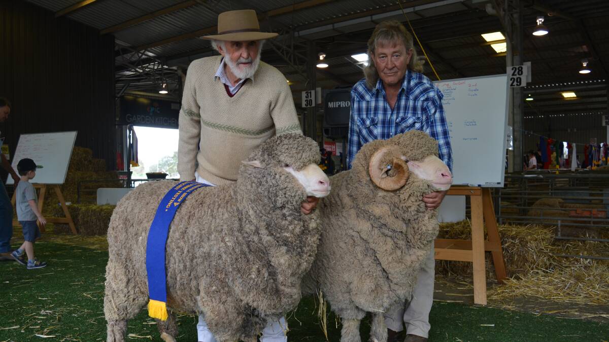 Winston McDonald and Keith Scaynes, Royalla Merino stud, Wallendbeen, with their champion March shorn pair. 