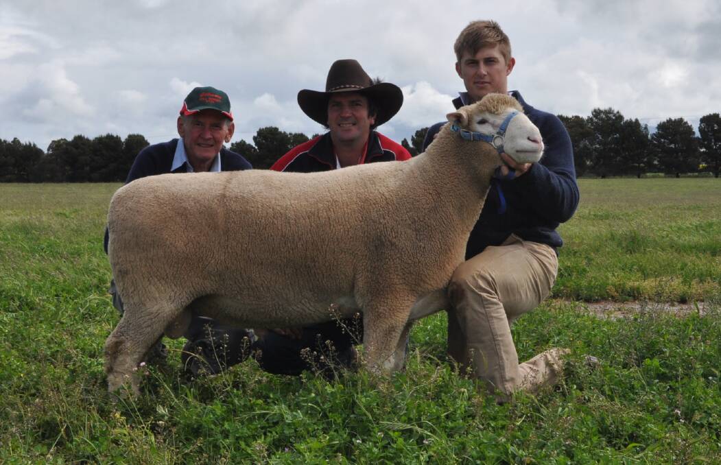 Les and Rory Ryan, Gilmore Poll Dorests, “Paschendale”, Yeoval, with their $14,000 top-price ram, Armdale Park 235-15, held by Sam Armstrong of Armdale Park.