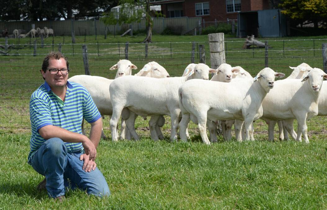 Andrew Rayner, "Grathlyn" Hargraves, said their plan is to do more embryo work to jump the numbers to their desired 200 Aussie White breeders by 2017. So far, all lambs have been bred through embryo transfer (ET).