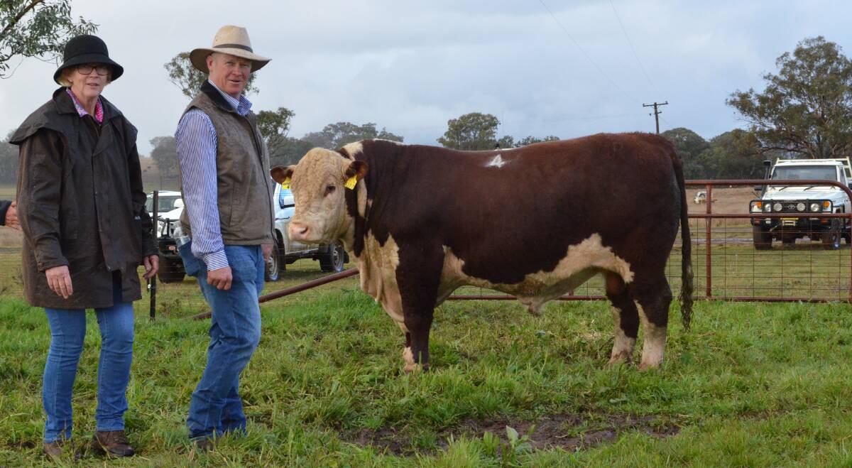 Purchaser of Bowen stud's $70,000 bull, Robyn Holcombe, Rayleigh Poll Herefords, Burren Junction, with Bowen stud principal Stephen Peake. 