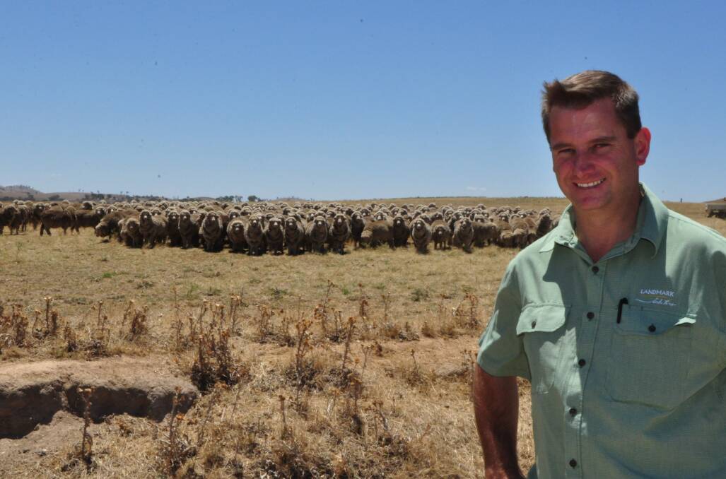 Landmark stud stock specialist, Rick Power said in the last two years there has been a swing back to the Merino with prime condition wether lambs leading the way. 