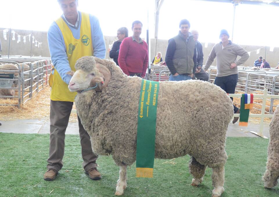 
Alfoxton stud, Armidale, topped the table in the sale ram production class with their reserve champion medium wool sale ram.
