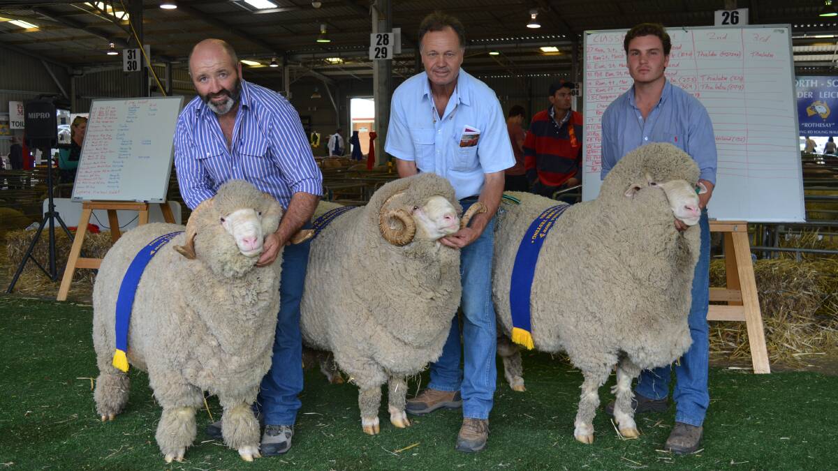 THREE SUPREMES: Superfine wool exhibited by Peter Lette Conrayn stud, Berridale, fine and medium/ strong wool exhibits both shown by Merryville stud, Boorowa, held by George Merriman and son, Angus Merriman. 