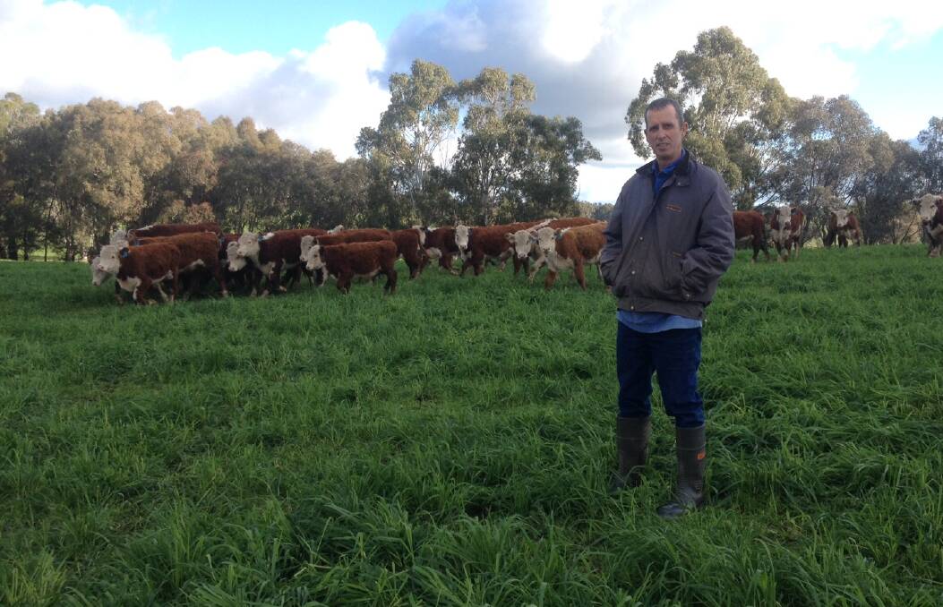 Nick Wragge, manager Woomargama Station, Holbrook, says It is about having a balance of high quality genetics to achieve their aim – the most beef from the country they run the cattle on