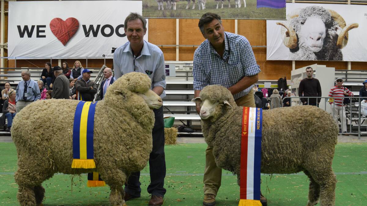 Chris Clonan (right), Alfoxton stud, Armidale with his grand champion medium wool ewe and Andrew Davis, Demondrille stud, Harden with the reserve grand champion medium wool ewe. 