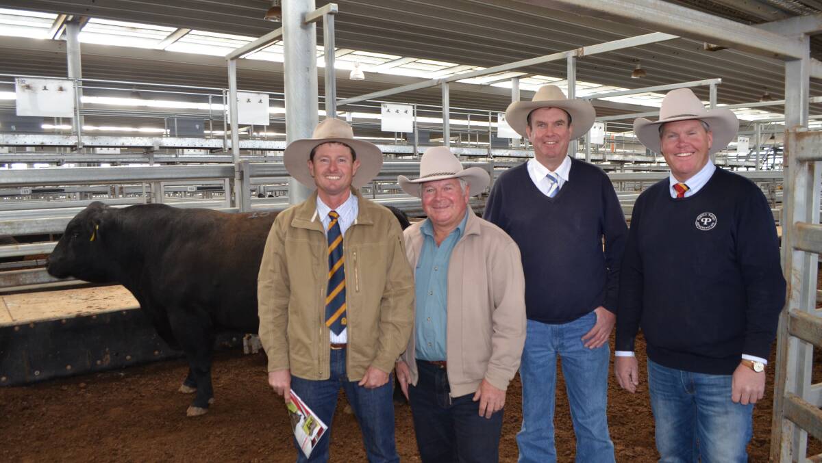 Chris Paterson Heart Angus, buyer Neil Stackman, auctioneer Paul Dooley, Tamworth, and agent Patrick Purtle, Purtle and Plevey Agencies, Manilla at last year's NEAB sale which topped at $13,500. 