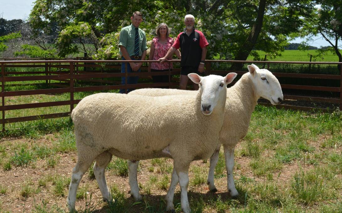 The two rams that will go up for auction for charity on December 6. Behind is Matt Joseph, Landmark and Gwenda and Shane Romer, Crookwell. 