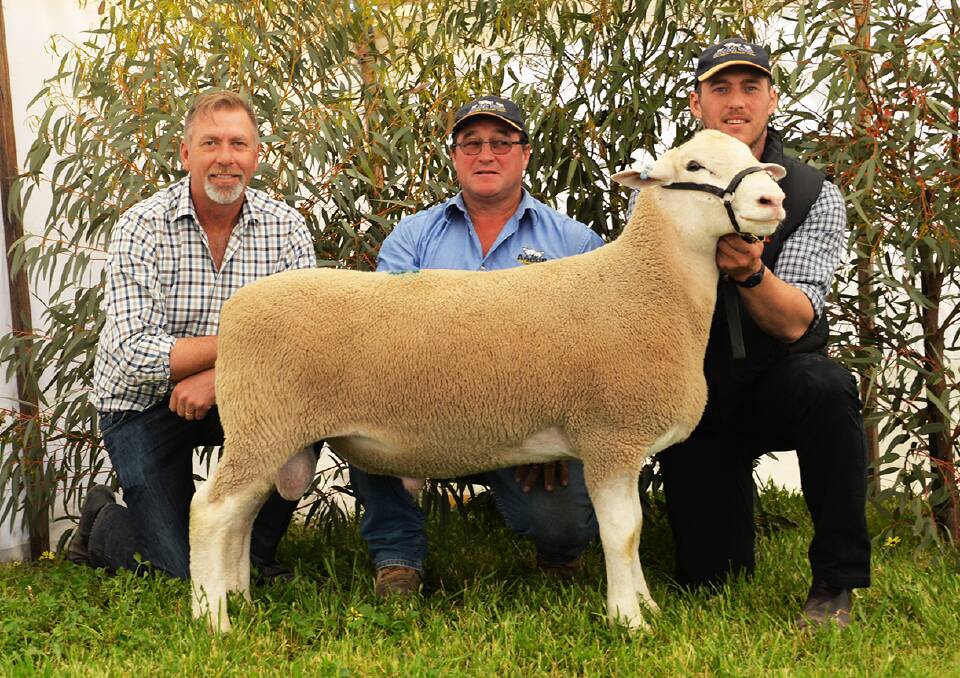 The $22,000 ram with Detpa Grove principal David Pipkorn and purchasers Andrew and Joel Donnan.
